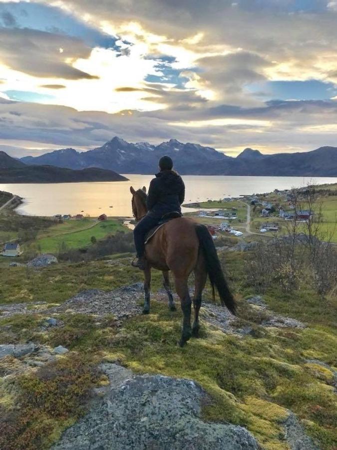 Bauernhof Storjord Ranchhouse Kvaloya