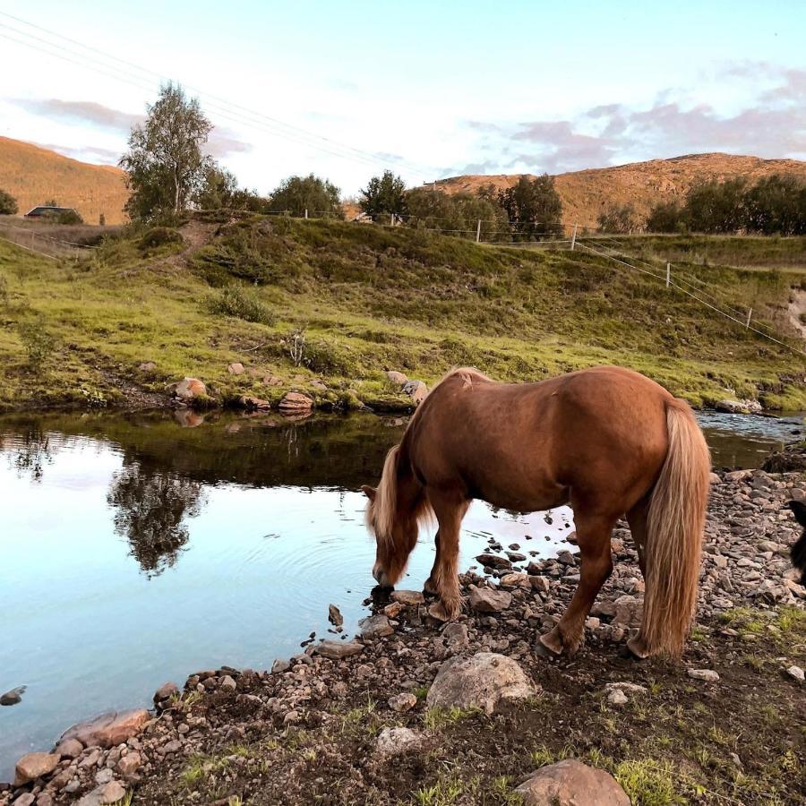 Storjord Ranchhouse Farm stay Kvaloya