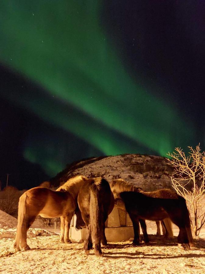 Storjord Ranchhouse *