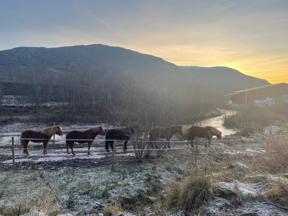Storjord Ranchhouse Kvaloya